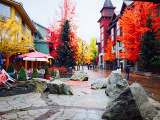 Whistler