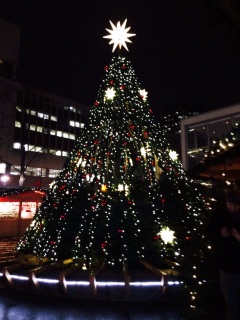 Rainy Xmas market in Van